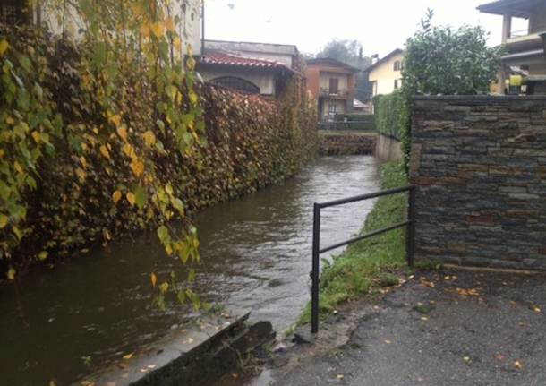 Le piene di Arno e Sorgiorile (inserita in galleria)