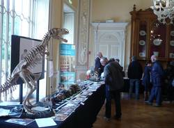 Mostra dei Minerali e dei Fossili a Ville Ponti  (inserita in galleria)