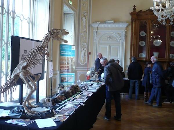 Mostra dei Minerali e dei Fossili a Ville Ponti  (inserita in galleria)