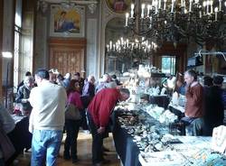 Mostra dei Minerali e dei Fossili a Ville Ponti  (inserita in galleria)