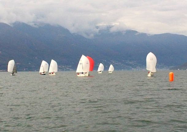 regata velica vela classe meteor luino 2014