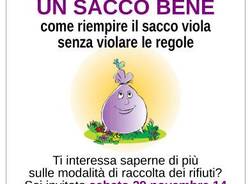 sacco viola coinger