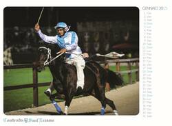 calendario2015 02