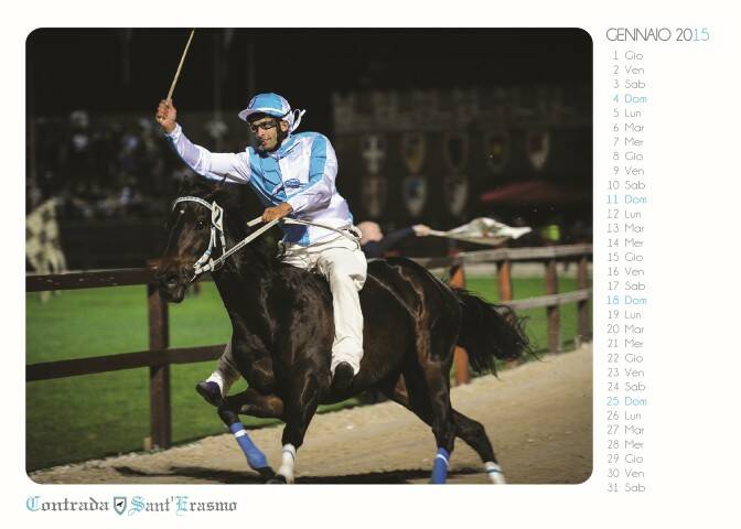 calendario2015 02