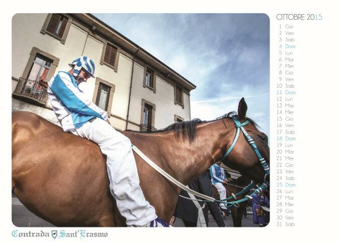 calendario2015 11