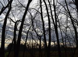 Dicembre al Parco AltoMilanese (inserita in galleria)