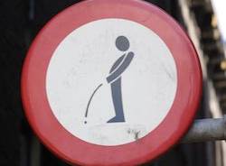 divieto urinare foto