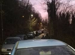 Due ore di coda al Sacro Monte per il taglio di una pianta (inserita in galleria)