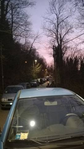 Due ore di coda al Sacro Monte per il taglio di una pianta  (inserita in galleria)