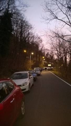 Due ore di coda al Sacro Monte per il taglio di una pianta  (inserita in galleria)