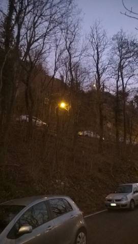 Due ore di coda al Sacro Monte per il taglio di una pianta  (inserita in galleria)