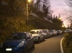 Due ore di coda al Sacro Monte per il taglio di una pianta (inserita in galleria)