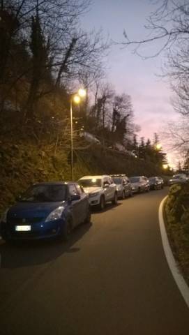 Due ore di coda al Sacro Monte per il taglio di una pianta  (inserita in galleria)