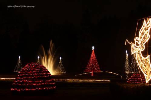 I Giardini illuminati per Natale (inserita in galleria)