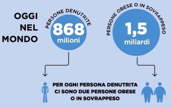 I paradossi dell'alimentazione (inserita in galleria)