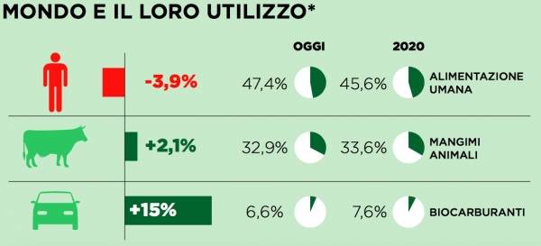 I paradossi dell'alimentazione (inserita in galleria)