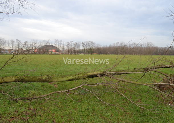 Il Parco Alto Milanese