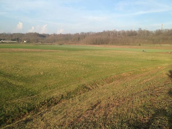 Il "parco" tra Gallarate, Cavaria e Cassano Magnago (inserita in galleria)