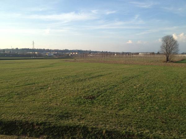 Il "parco" tra Gallarate, Cavaria e Cassano Magnago (inserita in galleria)