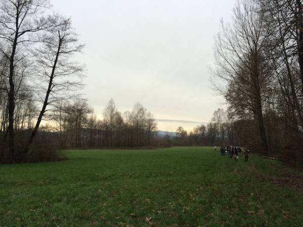 La liberazione delle anatre nella palude Brabbia (inserita in galleria)