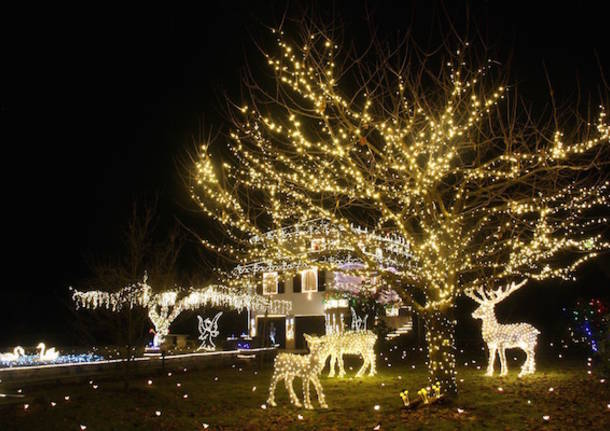 Luci Di Natale Foto.Le Luci Natalizie Di Leggiuno Si Faranno