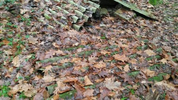 Rifiuti abbandonati a Samarate (inserita in galleria)