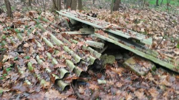 Rifiuti abbandonati a Samarate (inserita in galleria)