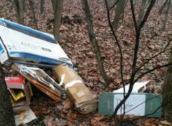 Rifiuti abbandonati a Samarate (inserita in galleria)