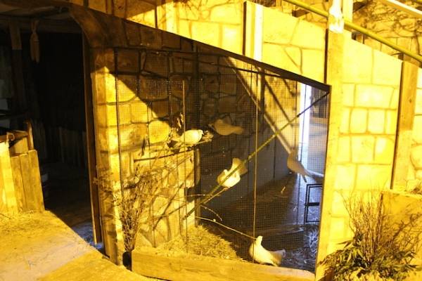 Tutto pronto per il grande presepe vivente di Venegono (inserita in galleria)