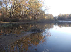 Un lago in brughiera (inserita in galleria)