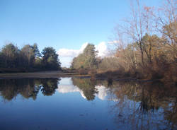 Un lago in brughiera (inserita in galleria)