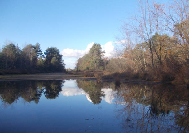 Un lago in brughiera (inserita in galleria)