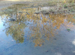 Un lago in brughiera (inserita in galleria)