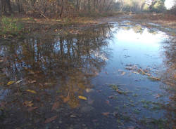 Un lago in brughiera (inserita in galleria)