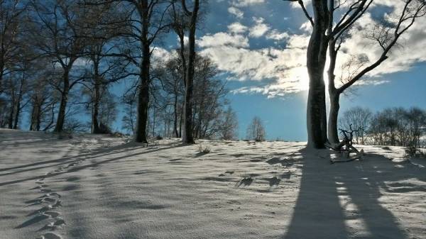 E' arrivata la neve (inserita in galleria)