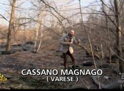 Il "bosco delle gomme" a Cassano Magnago (inserita in galleria)