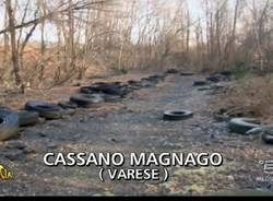 Il "bosco delle gomme" a Cassano Magnago (inserita in galleria)