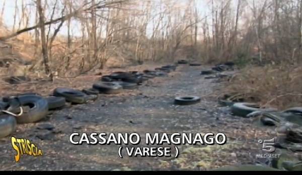 Il "bosco delle gomme" a Cassano Magnago (inserita in galleria)