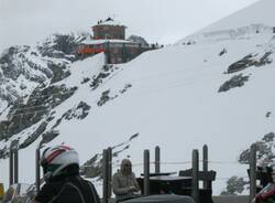 IMG 4529