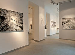 La Galleria Punto sull'Arte (inserita in galleria)