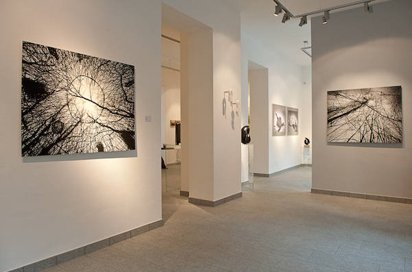 La Galleria Punto sull'Arte (inserita in galleria)