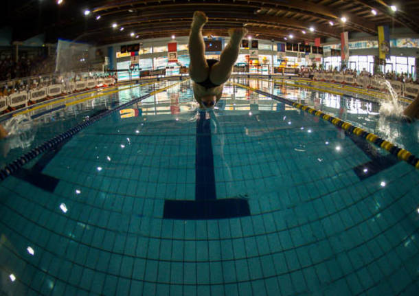 piscina manara 2014 tuffo nuoto