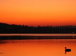 Tramonto alla Schiranna (inserita in galleria)