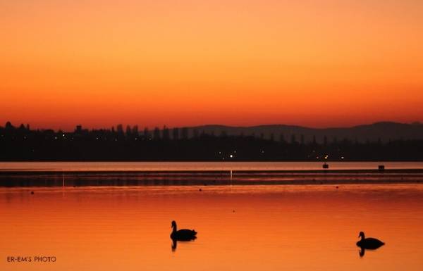 Tramonto alla Schiranna (inserita in galleria)
