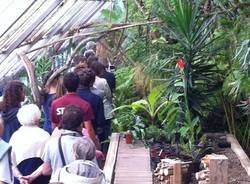 Utopia tropicale