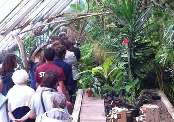 Utopia tropicale 
