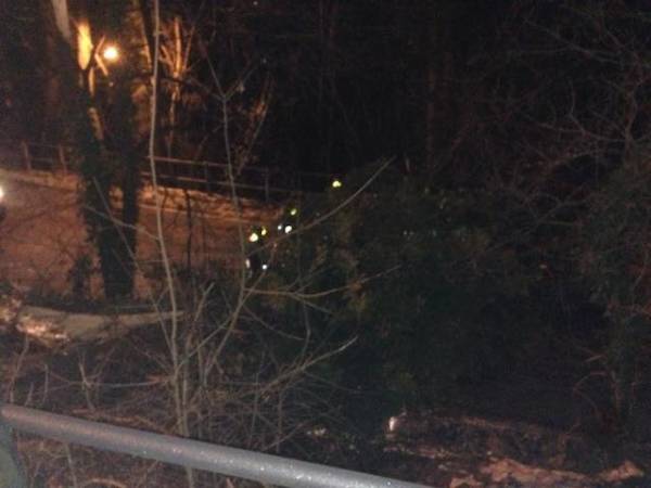 Vento: alberi bloccano la strada (inserita in galleria)