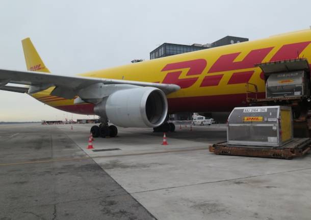 DHL a Malpensa (inserita in galleria)