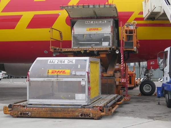 DHL a Malpensa (inserita in galleria)