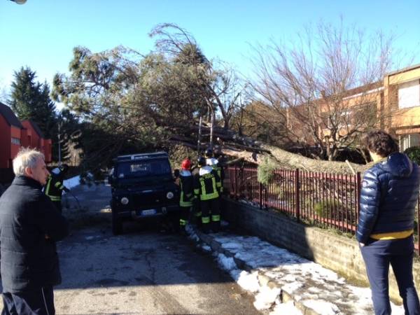 Forte vento, albero cade su un'auto (inserita in galleria)